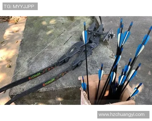 上海攀岩队创新战术解析与训练方法探讨