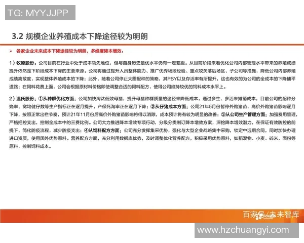 广州篮球队比赛经验分析与提升策略探讨